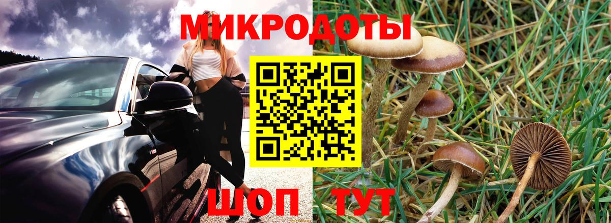 Галлюциногенные грибы Psilocybine cubensis  Вход с VPN  Белорецк 
